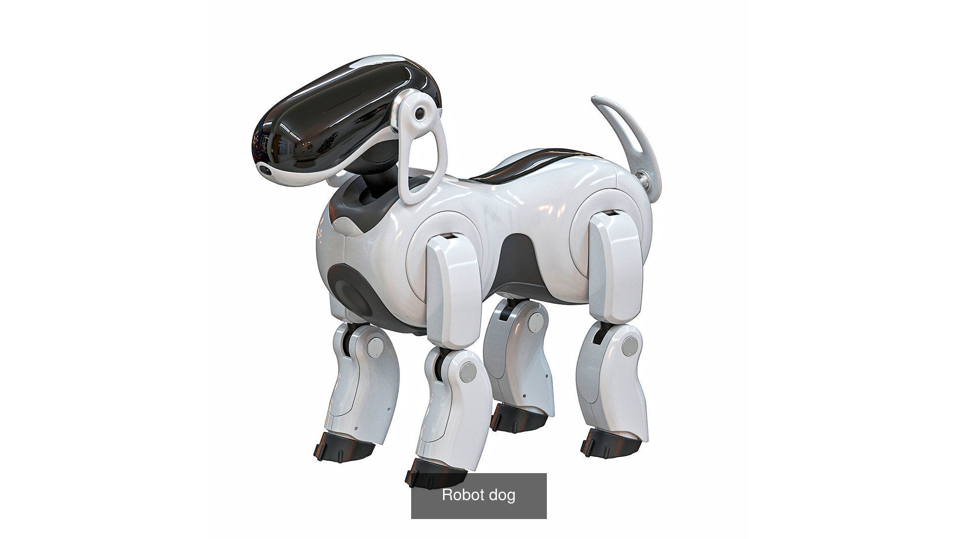 Cartoon House and Robotics  3D Model Collection_3