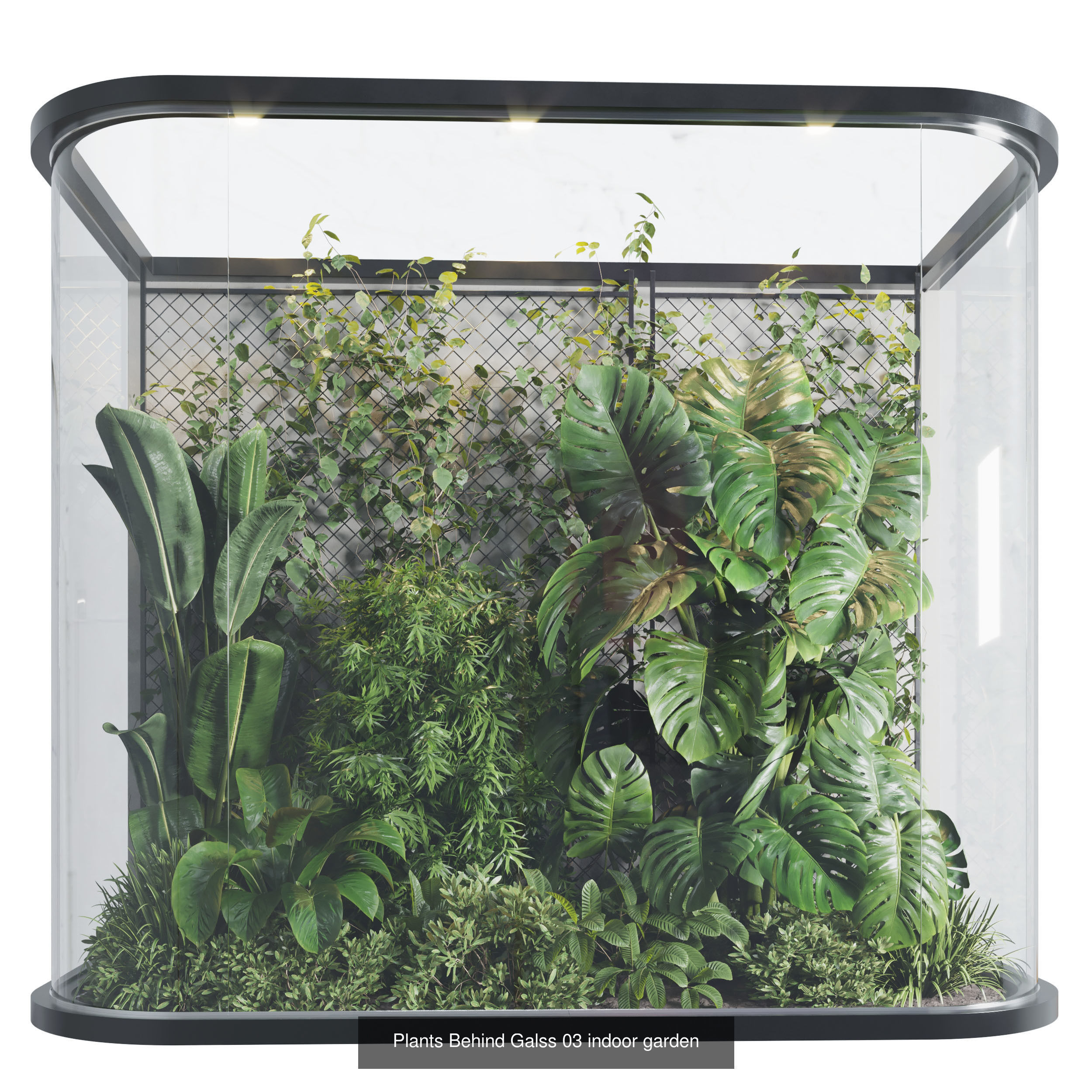 collection Indoor plants hanging pot _7