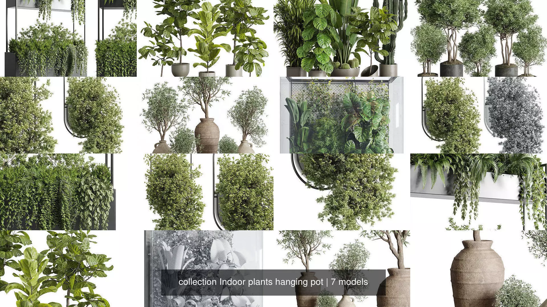 collection Indoor plants hanging pot _0