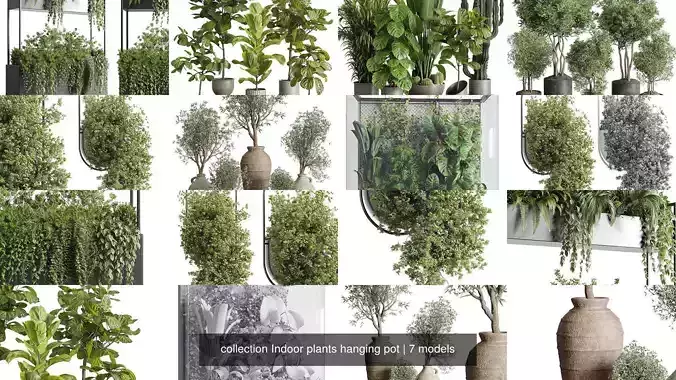 collection Indoor plants hanging pot collection Indoor plants hanging pot