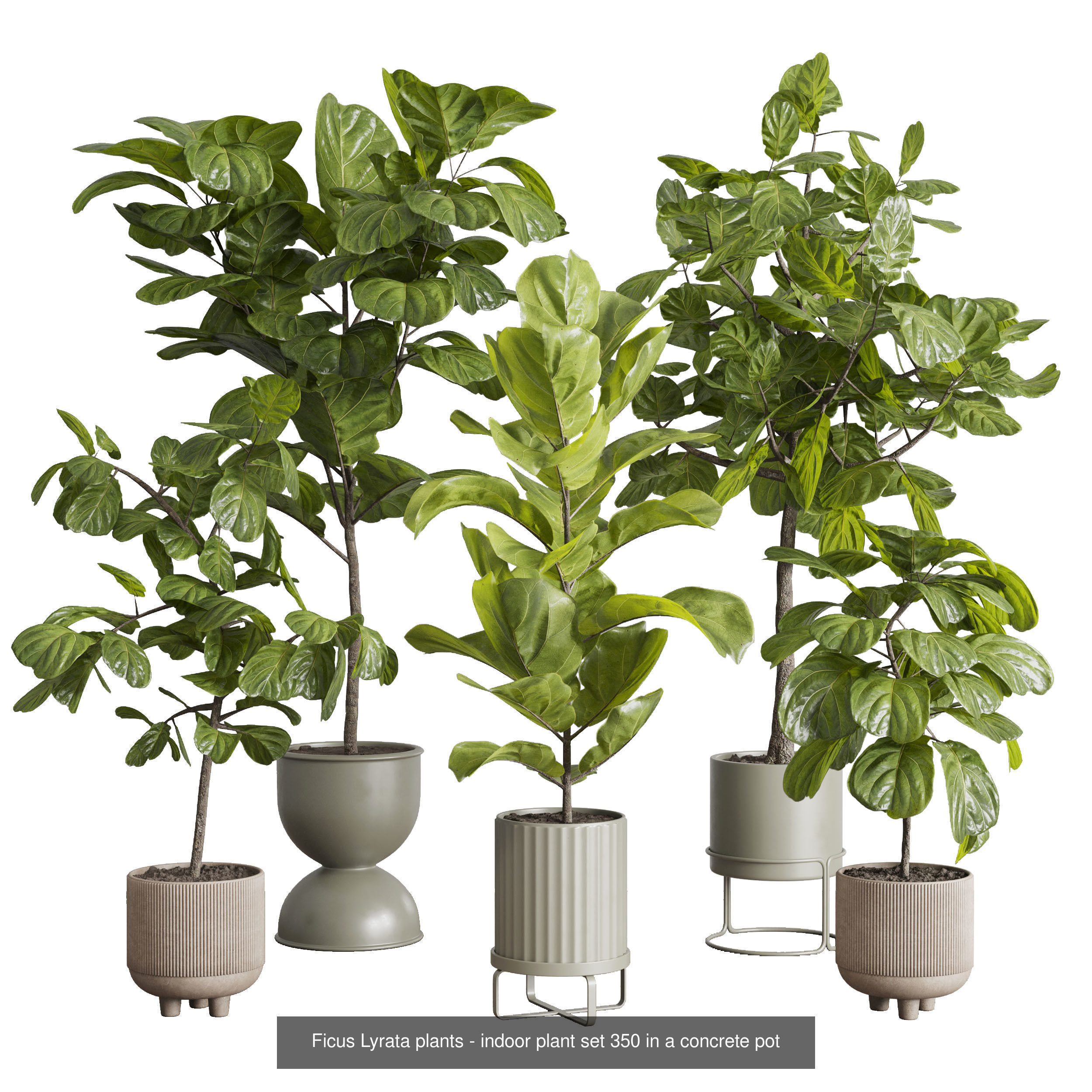 collection Indoor plants hanging pot _2