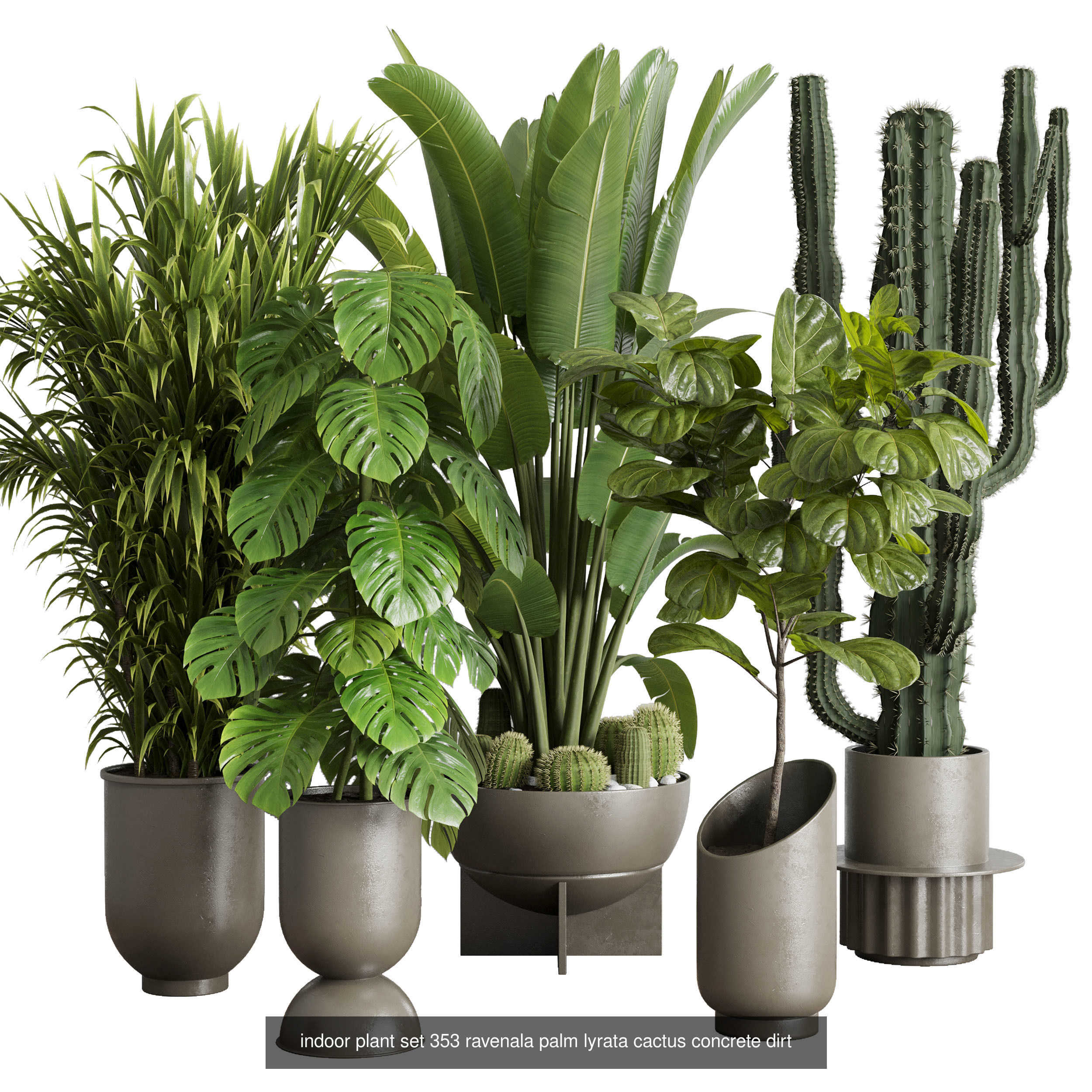 collection Indoor plants hanging pot _3