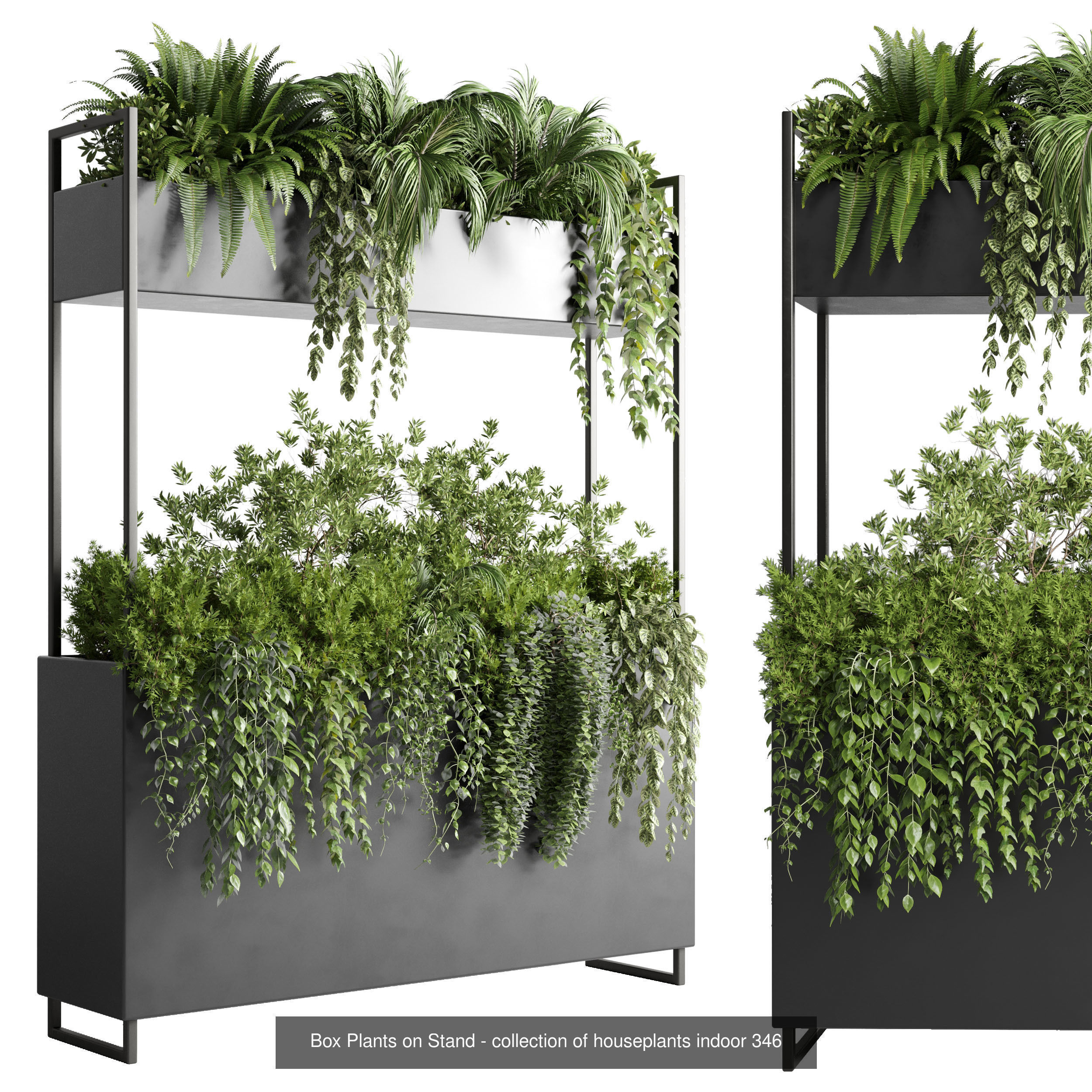 collection Indoor plants hanging pot _1