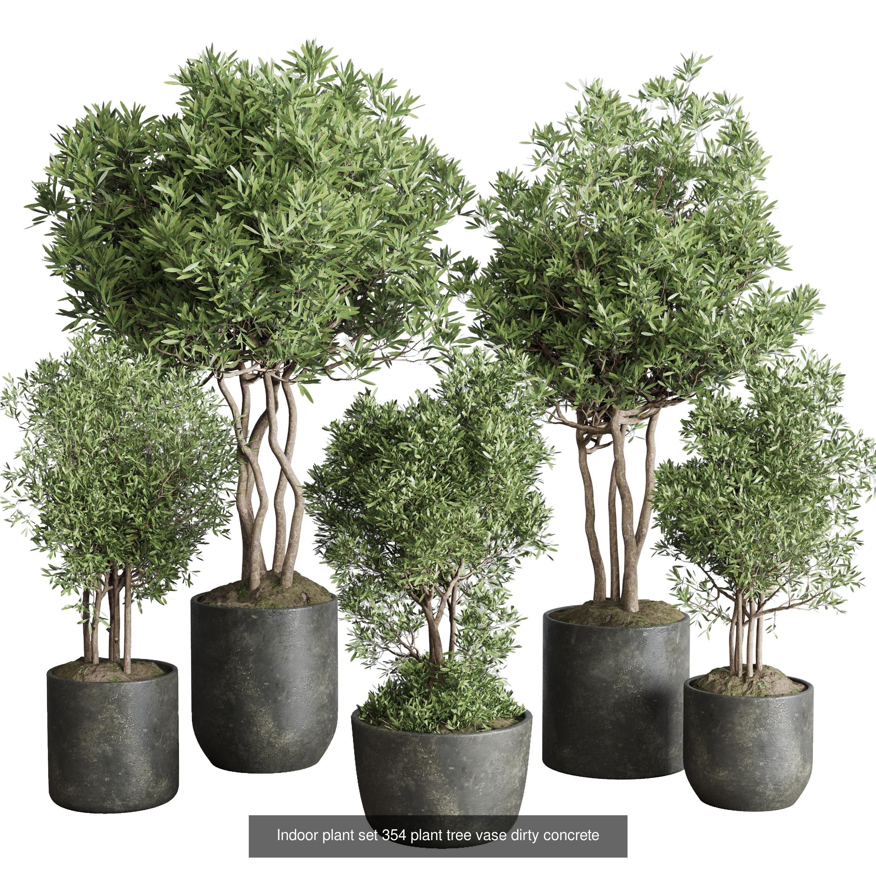 collection Indoor plants hanging pot _4