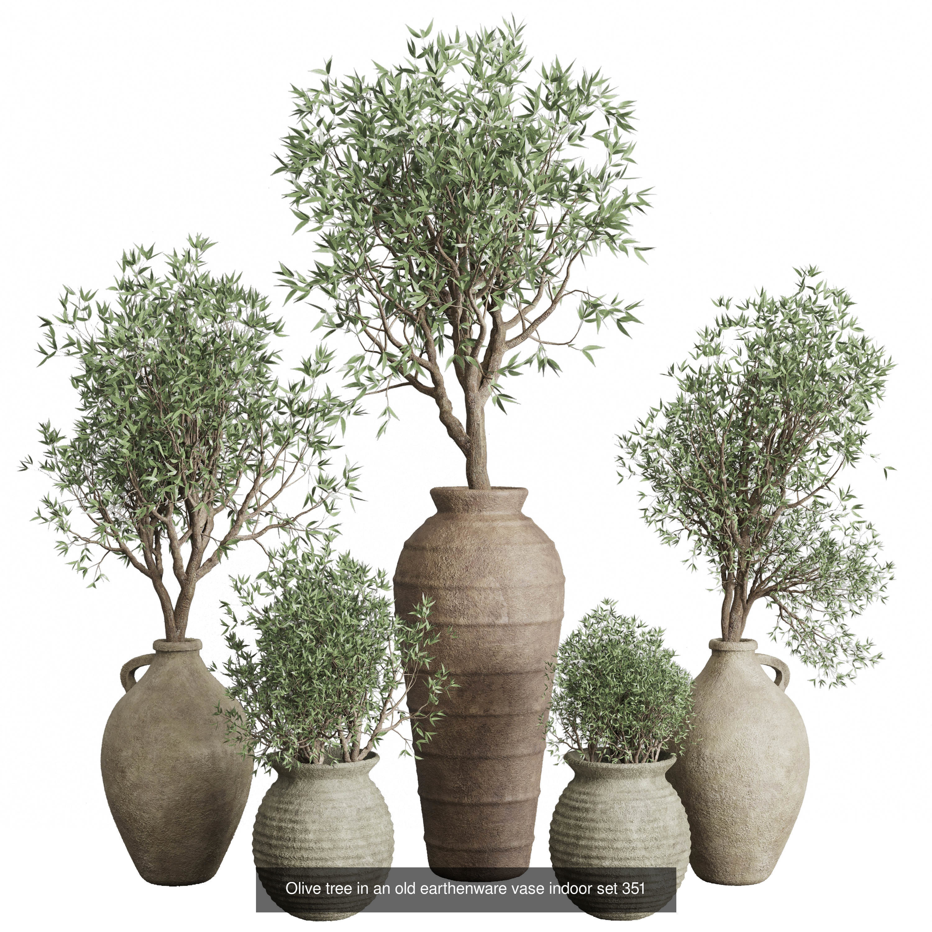 collection Indoor plants hanging pot _6