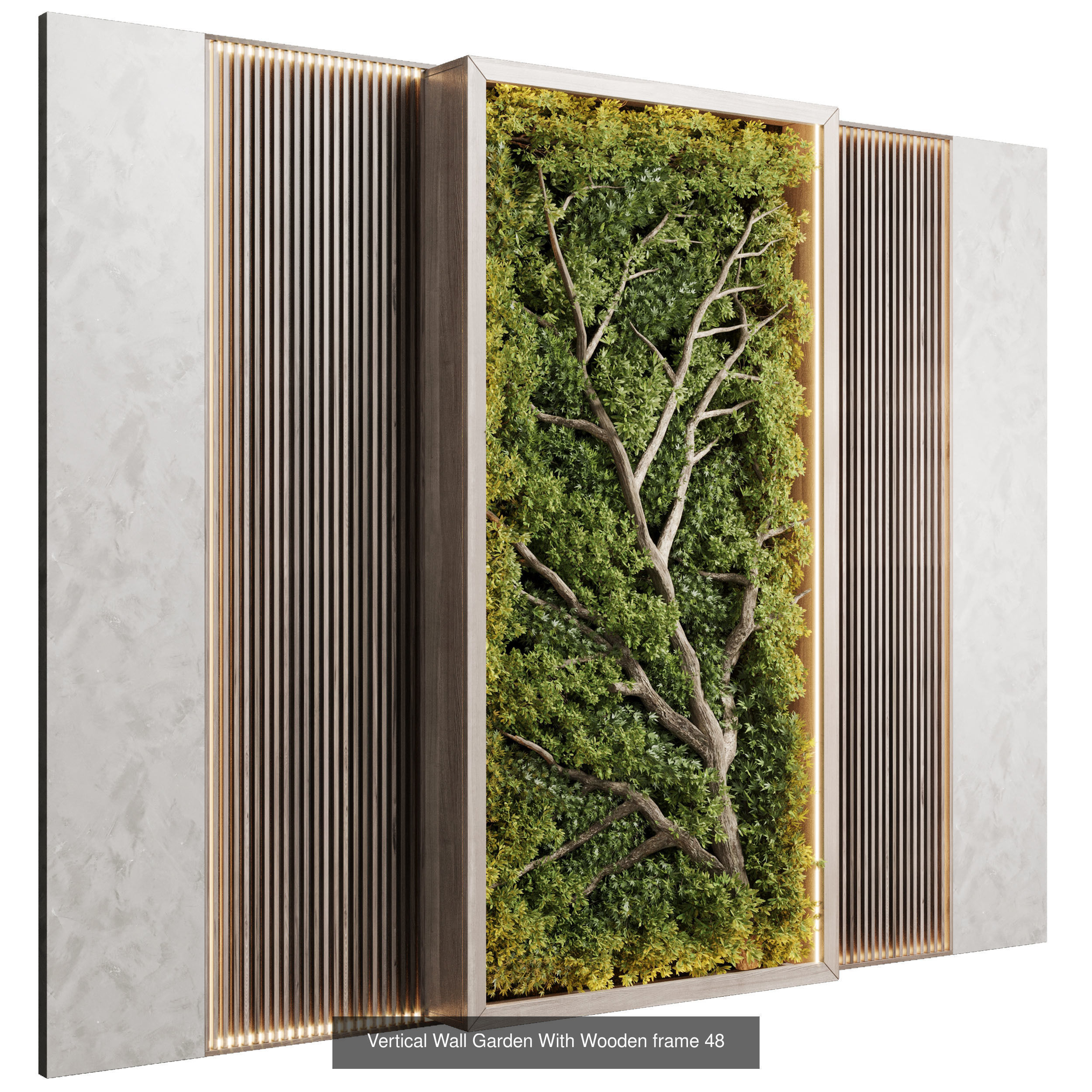 Indoor plant collection _7