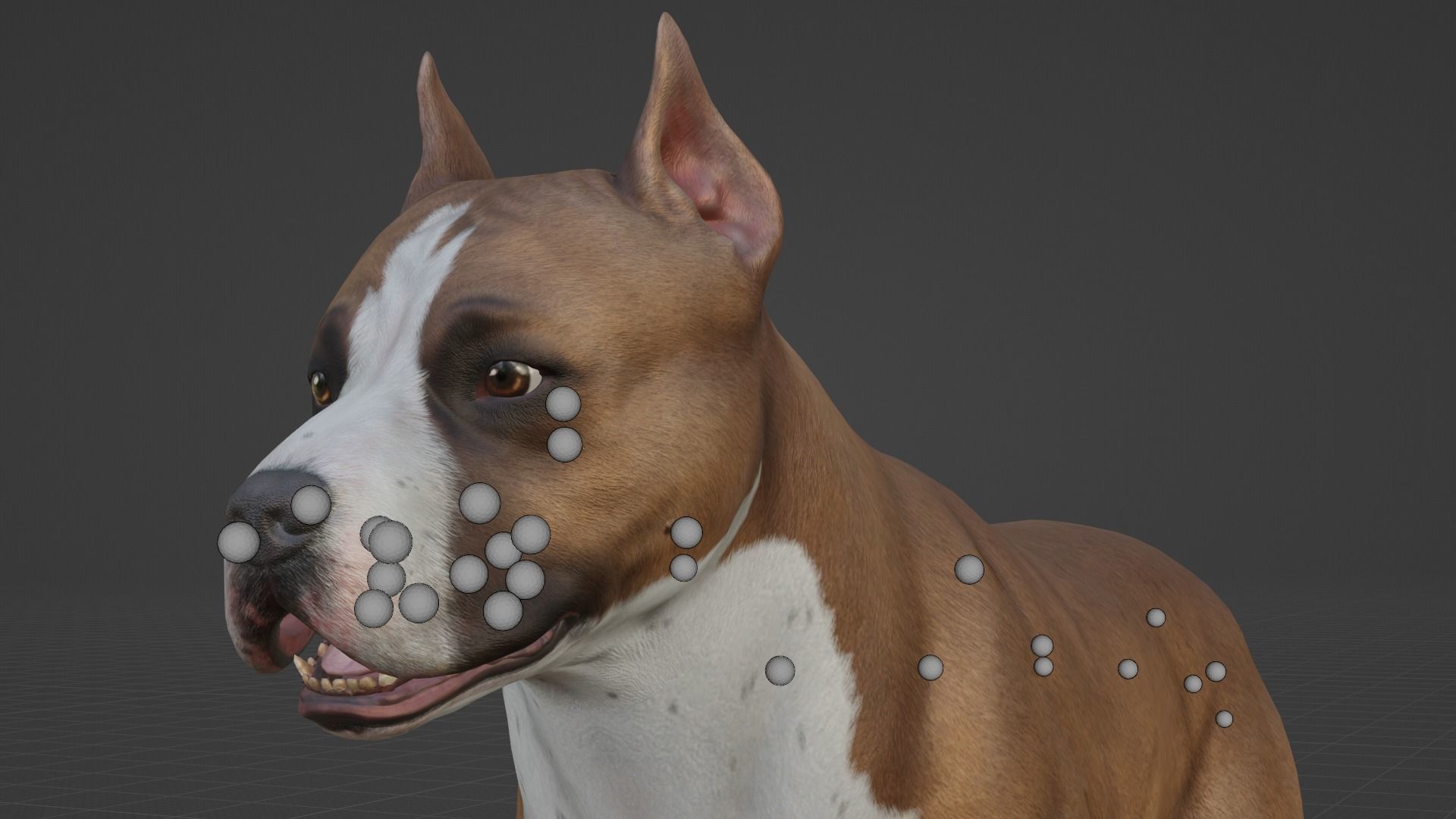 DOG - PITBULL Low-poly 3D model_3