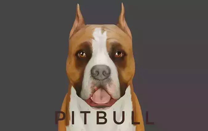 DOG - PITBULL Low-poly 3D model