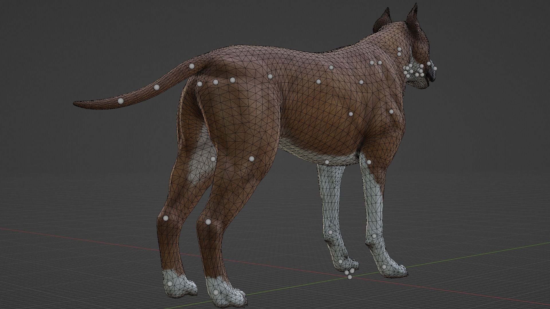 DOG - PITBULL Low-poly 3D model_9