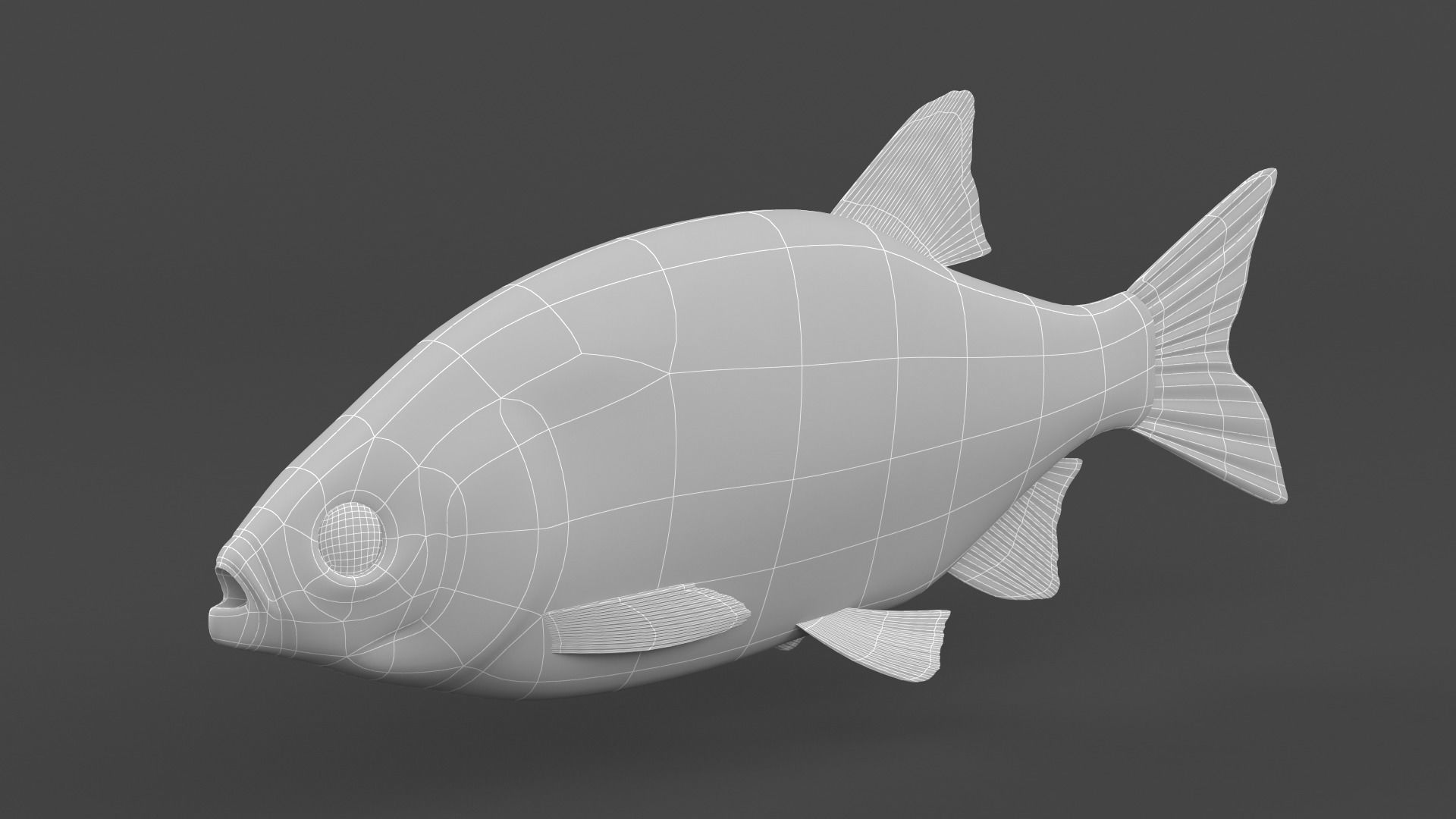 Rudd Fish 3D model_6