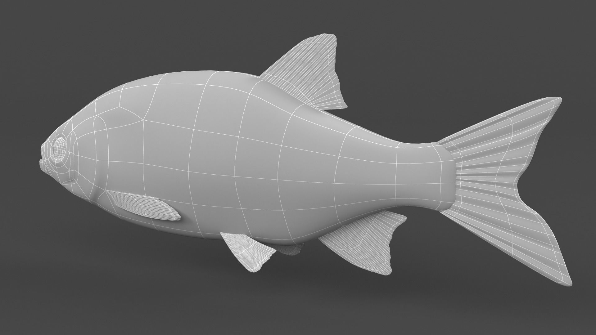 Rudd Fish 3D model_9