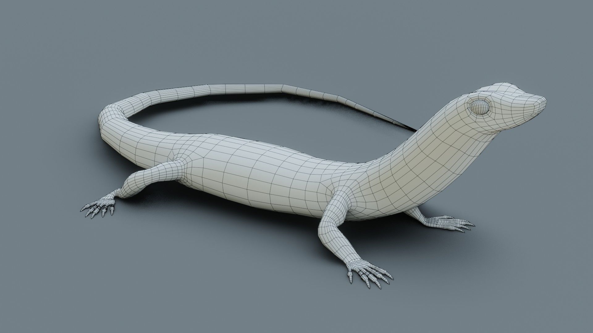 Lizard - Low Poly - Game Ready - PBR - Rigged Low-poly 3D model_15