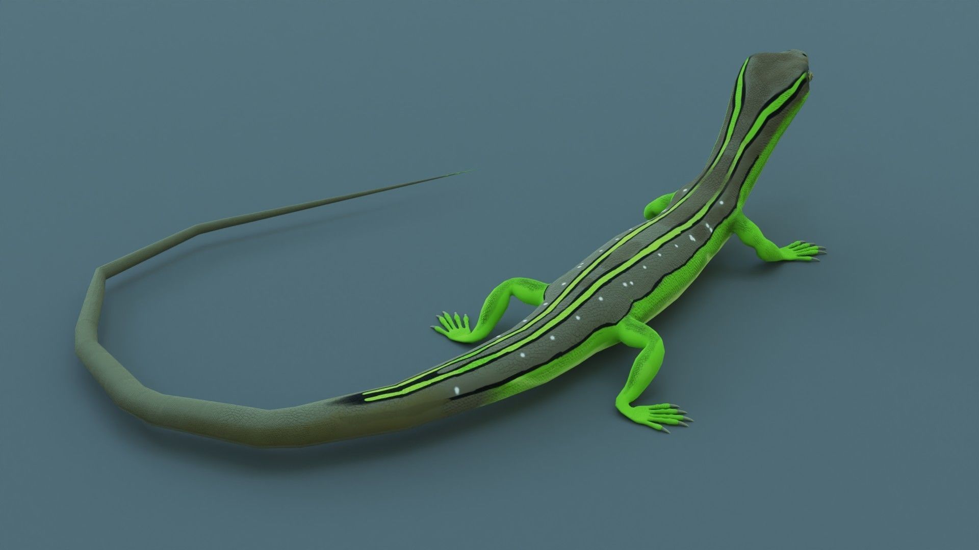 Lizard - Low Poly - Game Ready - PBR - Rigged Low-poly 3D model_3