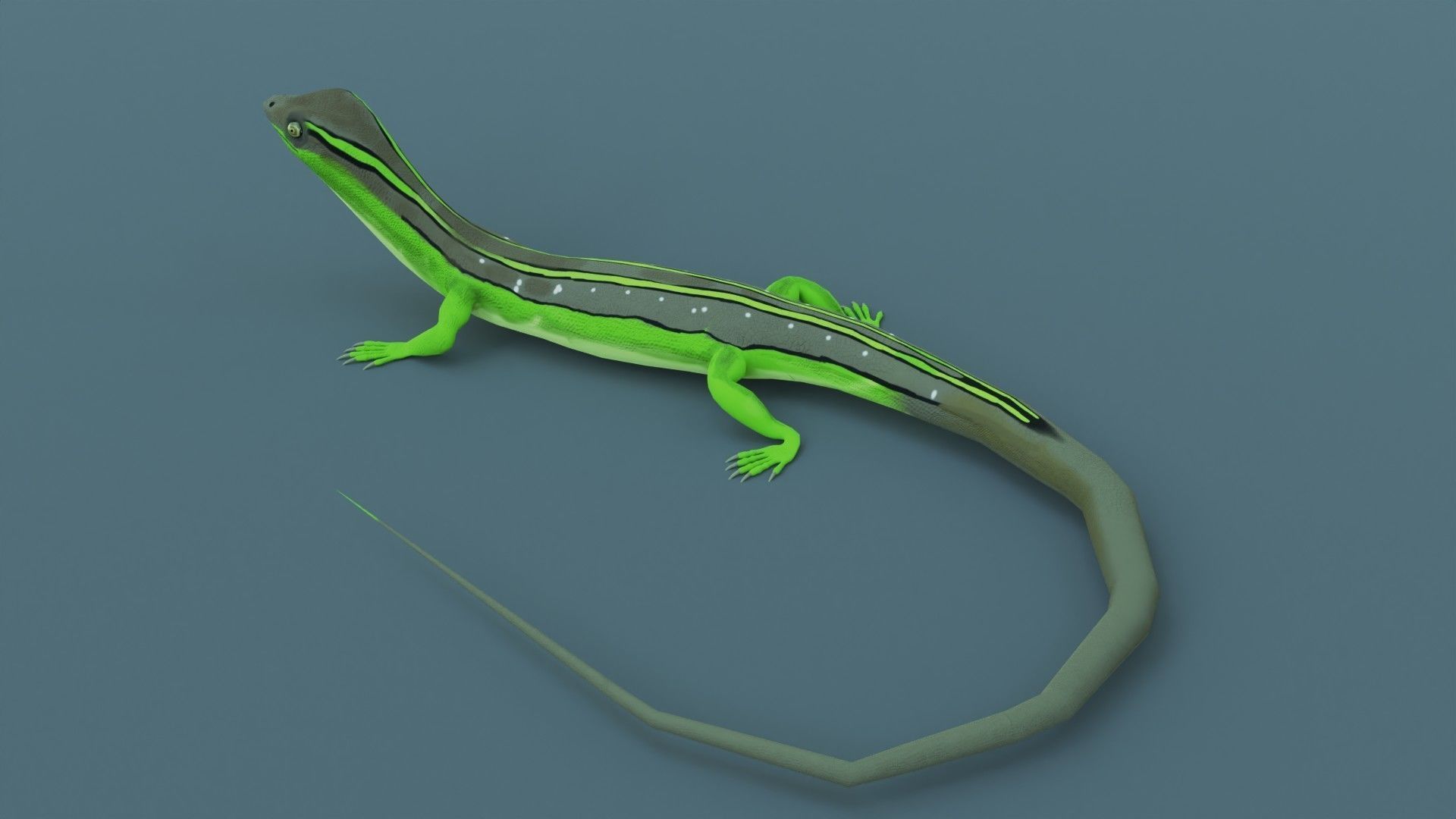 Lizard - Low Poly - Game Ready - PBR - Rigged Low-poly 3D model_2