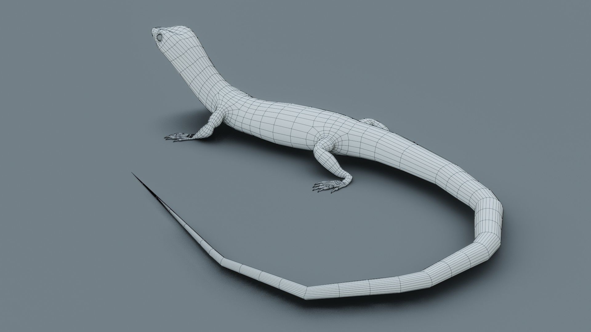 Lizard - Low Poly - Game Ready - PBR - Rigged Low-poly 3D model_19