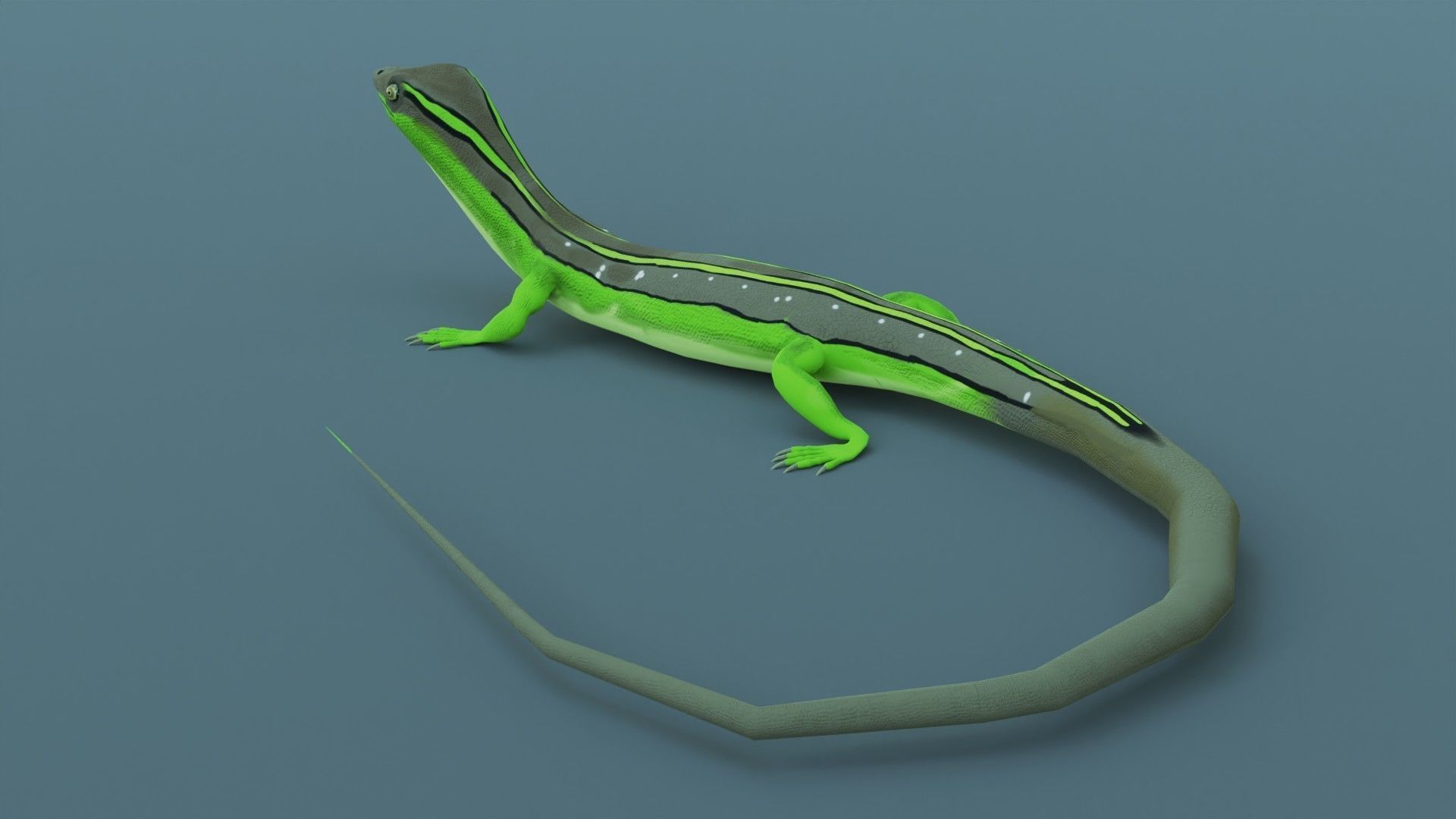 Lizard - Low Poly - Game Ready - PBR - Rigged Low-poly 3D model_9