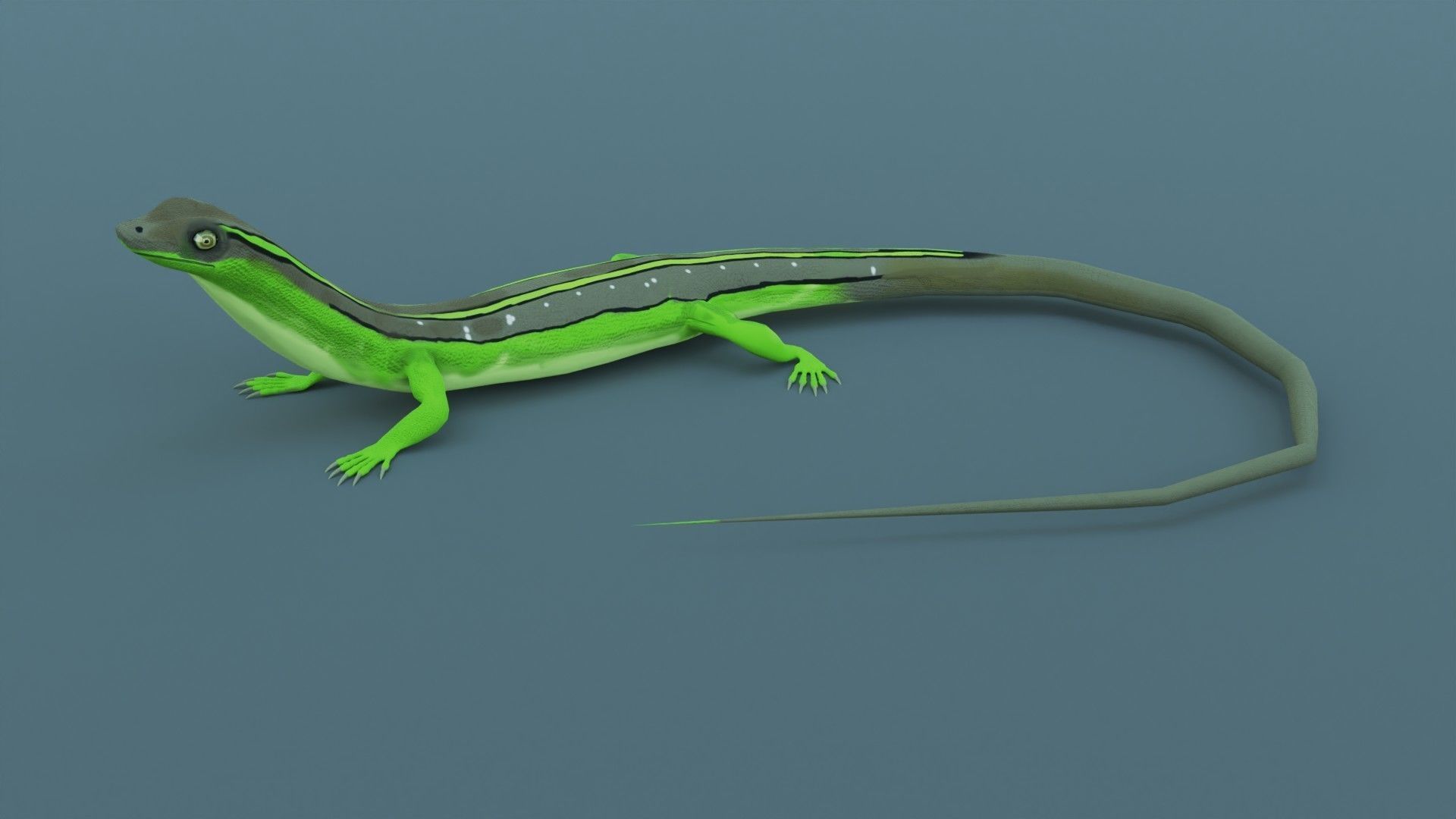 Lizard - Low Poly - Game Ready - PBR - Rigged Low-poly 3D model_1