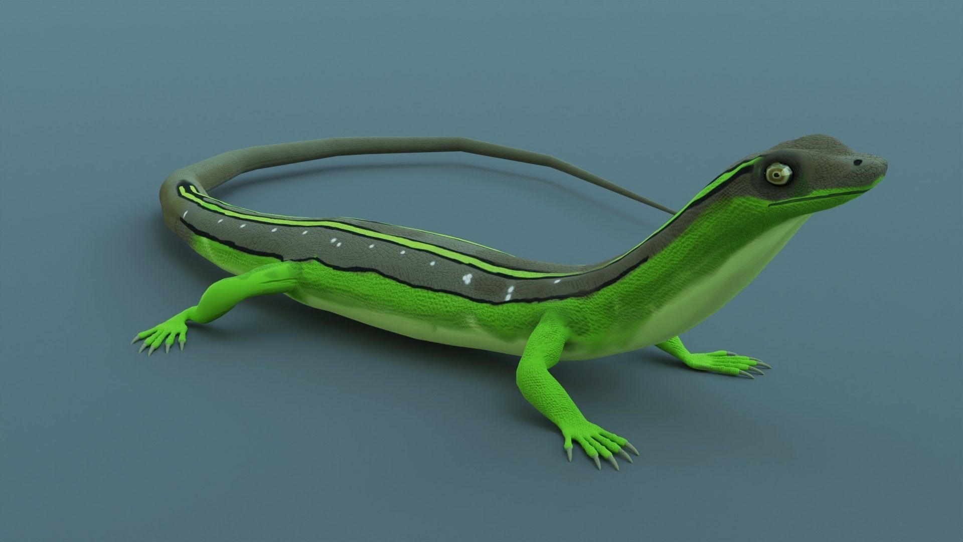 Lizard - Low Poly - Game Ready - PBR - Rigged Low-poly 3D model_5