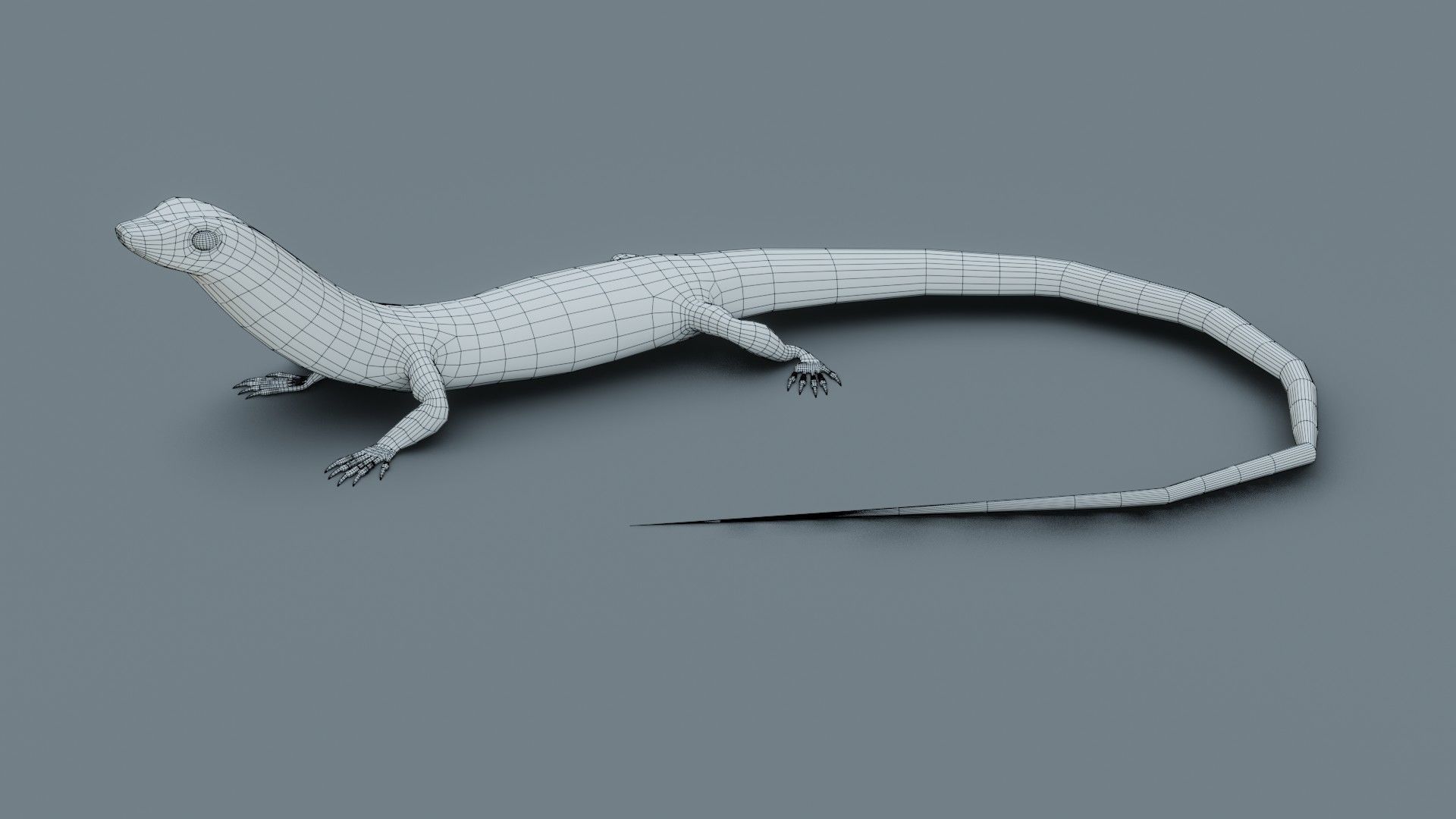 Lizard - Low Poly - Game Ready - PBR - Rigged Low-poly 3D model_11