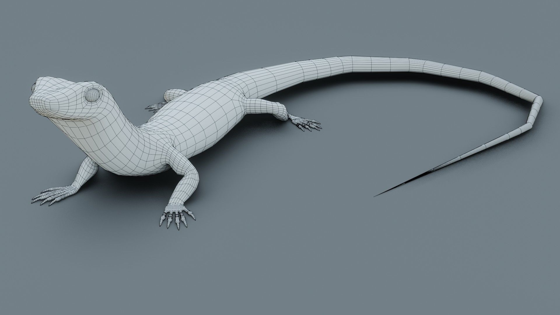 Lizard - Low Poly - Game Ready - PBR - Rigged Low-poly 3D model_16