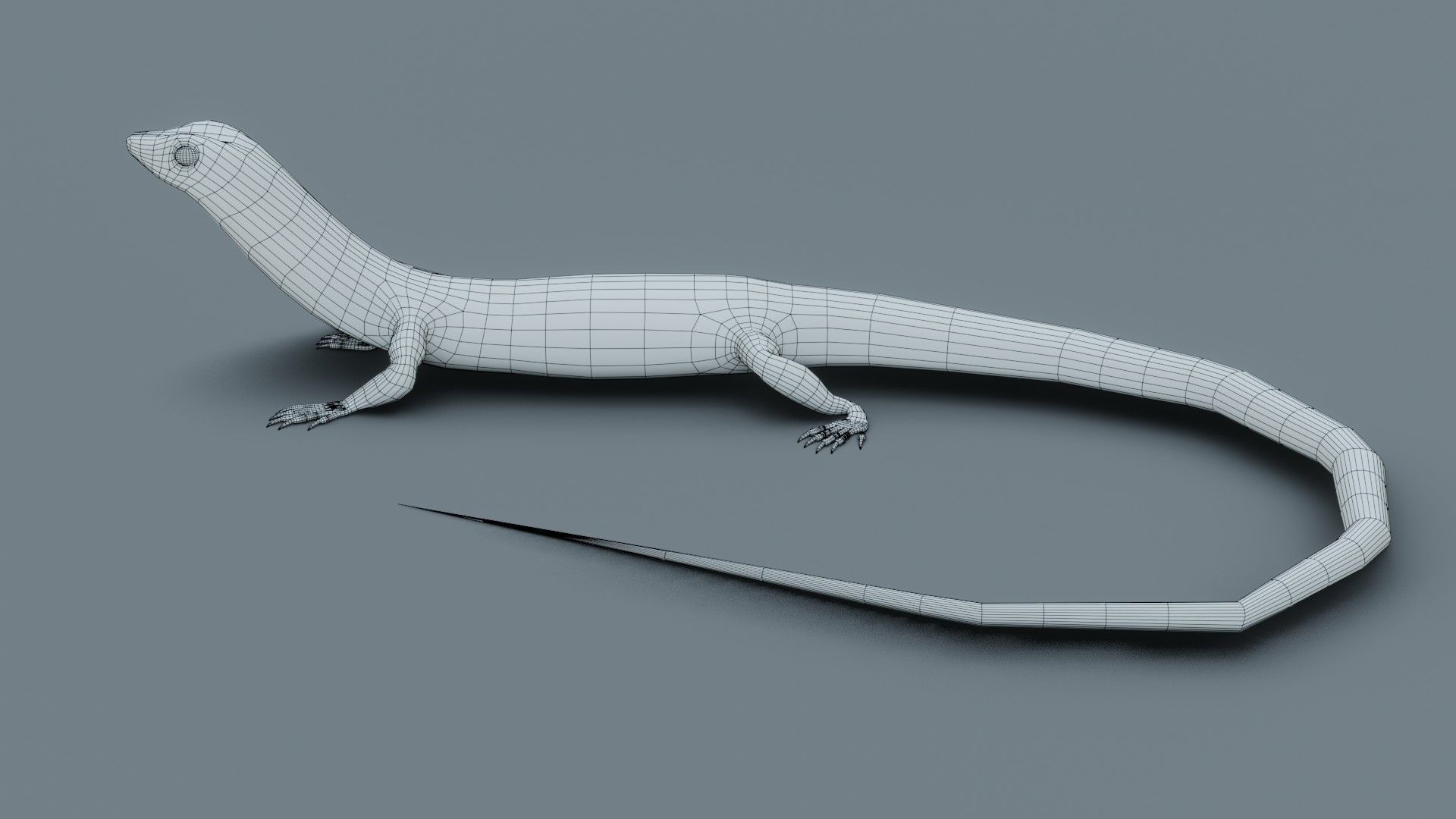 Lizard - Low Poly - Game Ready - PBR - Rigged Low-poly 3D model_18