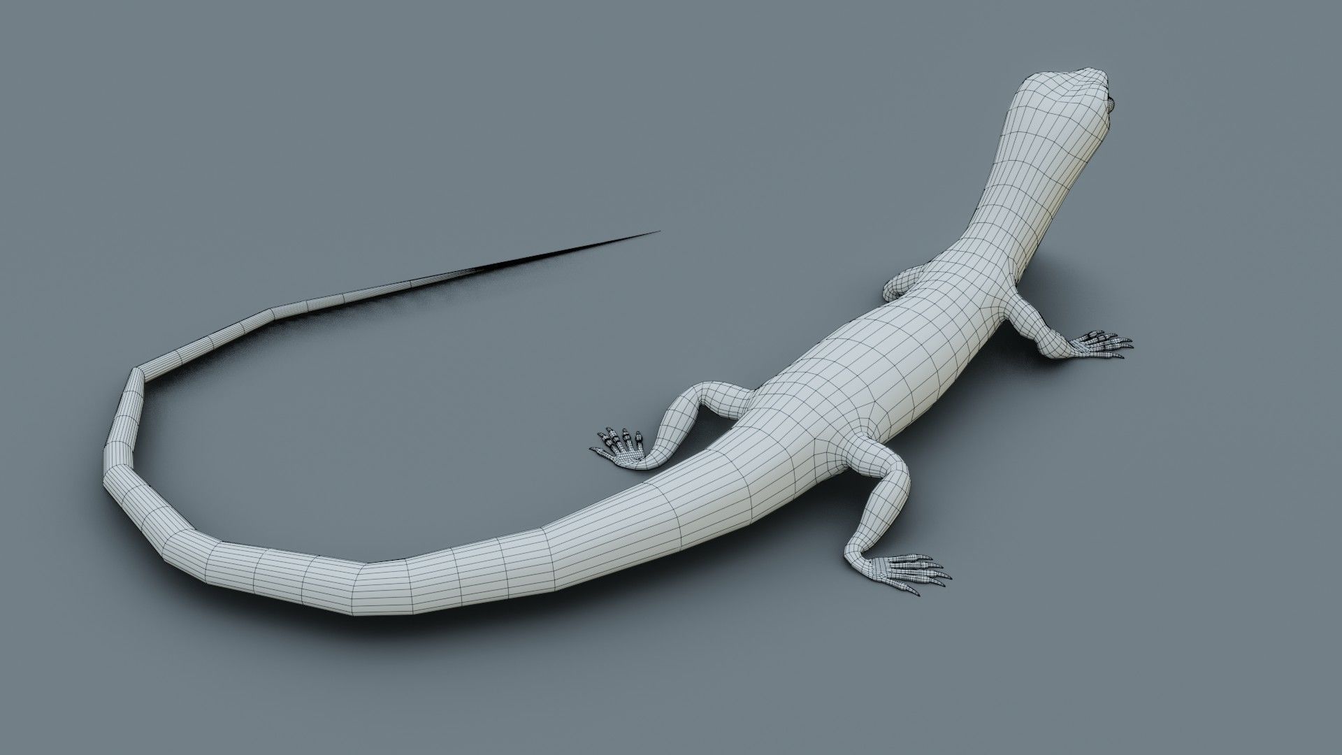 Lizard - Low Poly - Game Ready - PBR - Rigged Low-poly 3D model_13