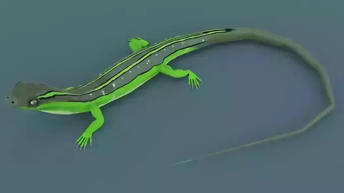 Lizard - Low Poly - Game Ready - PBR - Rigged Low-poly 3D model