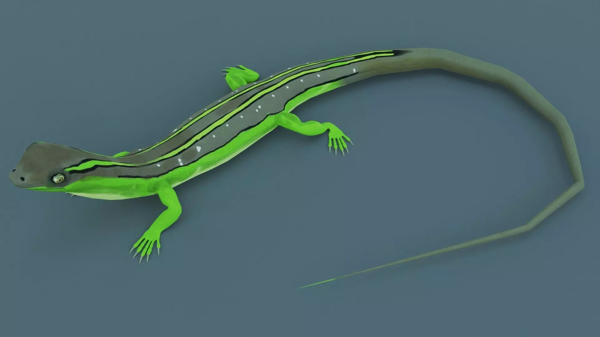 Lizard - Low Poly - Game Ready - PBR - Rigged Low-poly 3D model_0