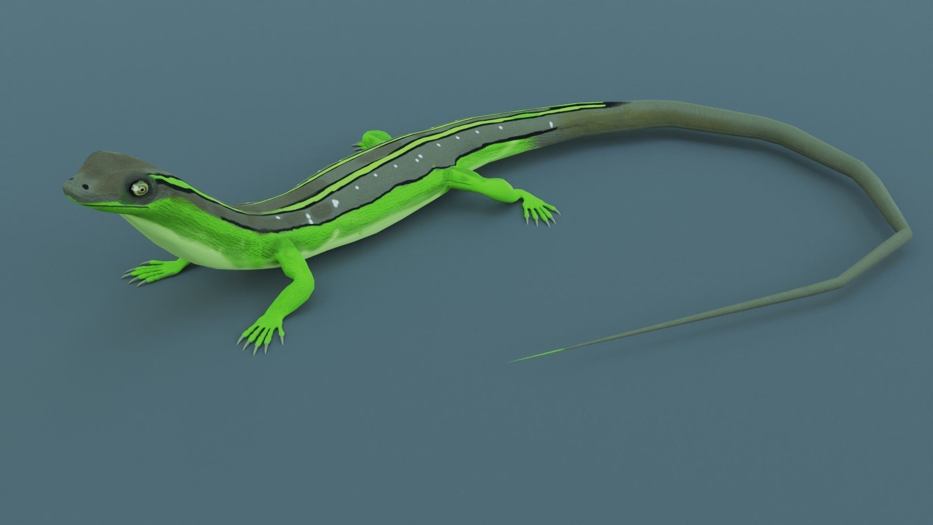 Lizard - Low Poly - Game Ready - PBR - Rigged Low-poly 3D model_7
