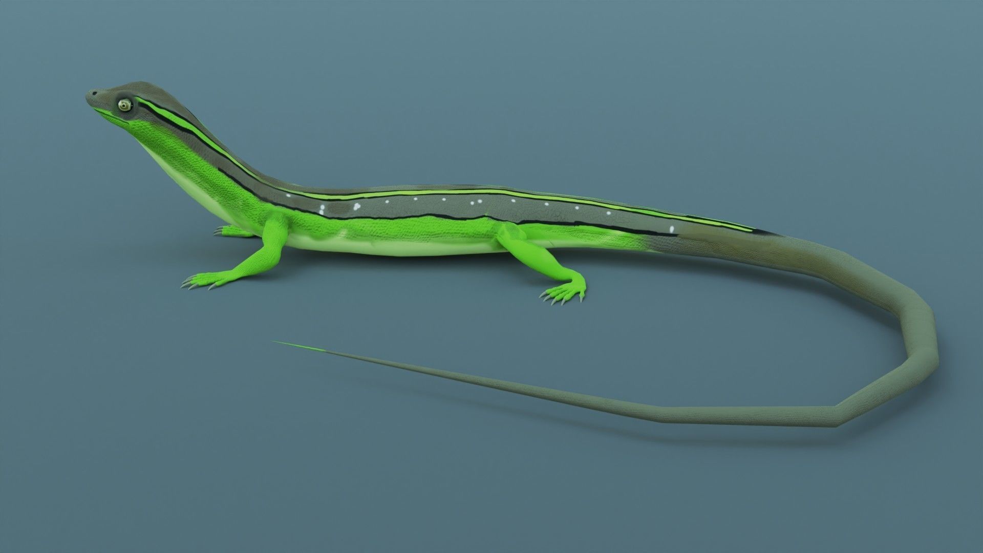 Lizard - Low Poly - Game Ready - PBR - Rigged Low-poly 3D model_8