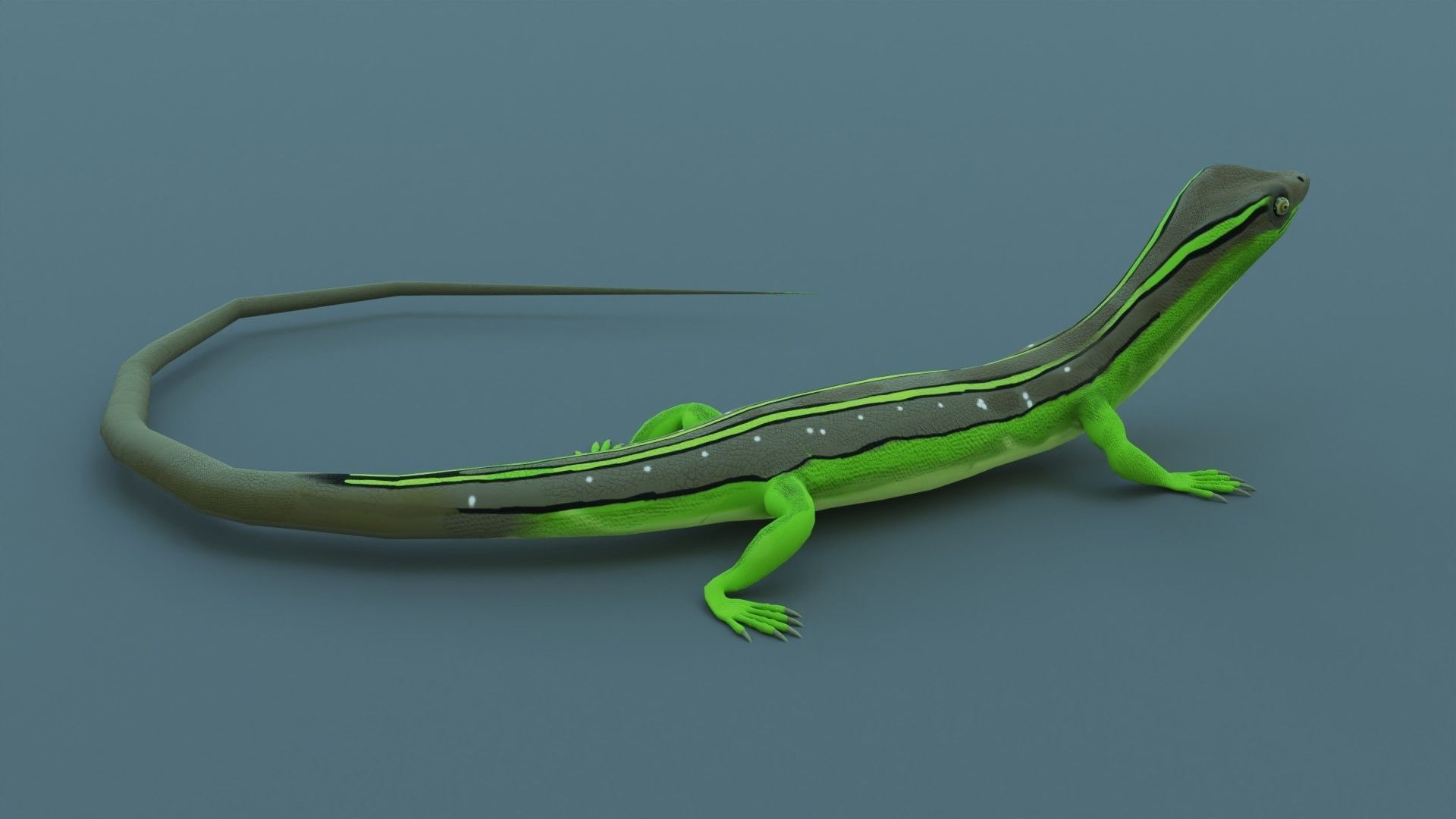 Lizard - Low Poly - Game Ready - PBR - Rigged Low-poly 3D model_4