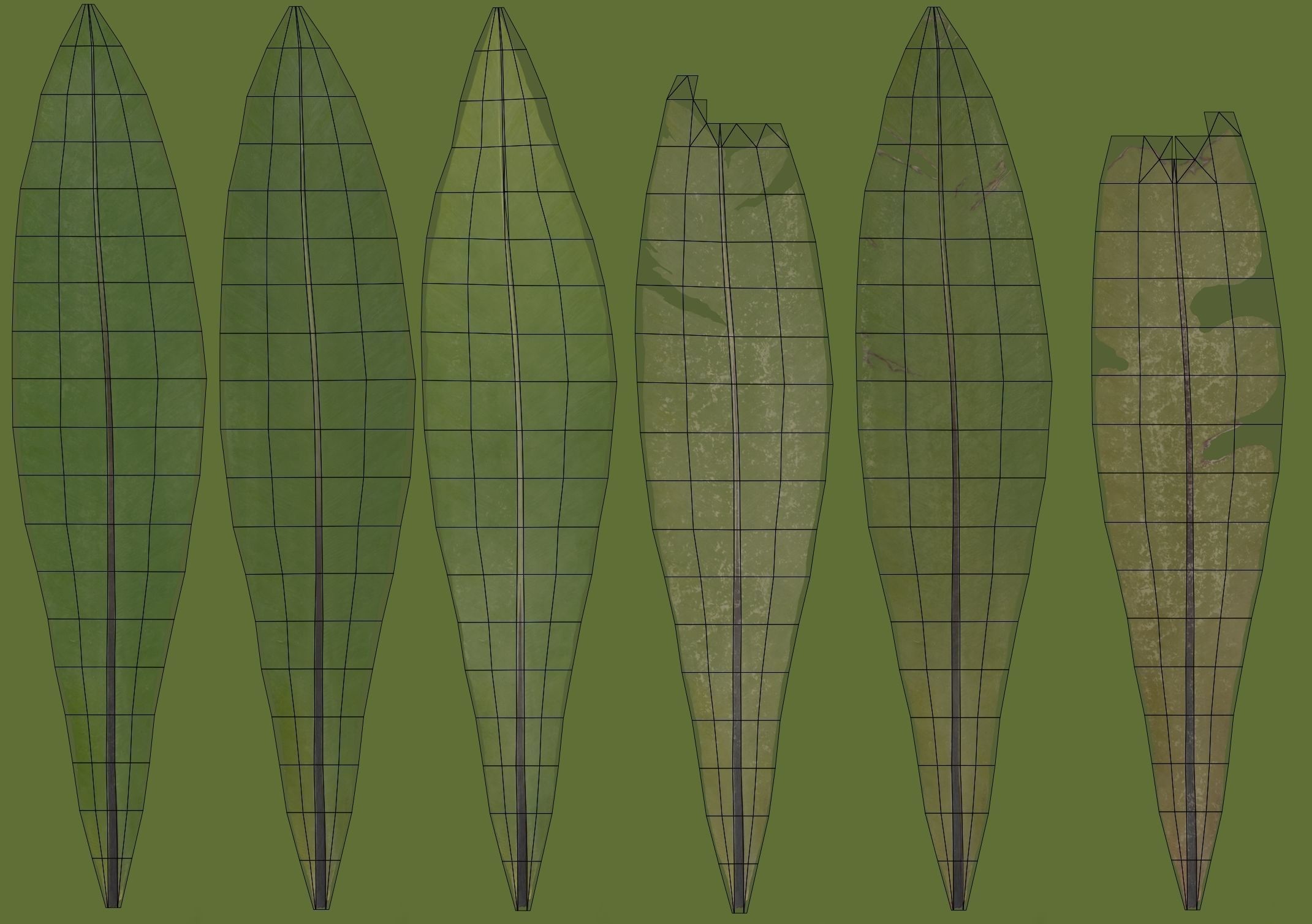 Birds Nest Fern Asplenium Nidus VFX Grace Low-poly 3D model_18