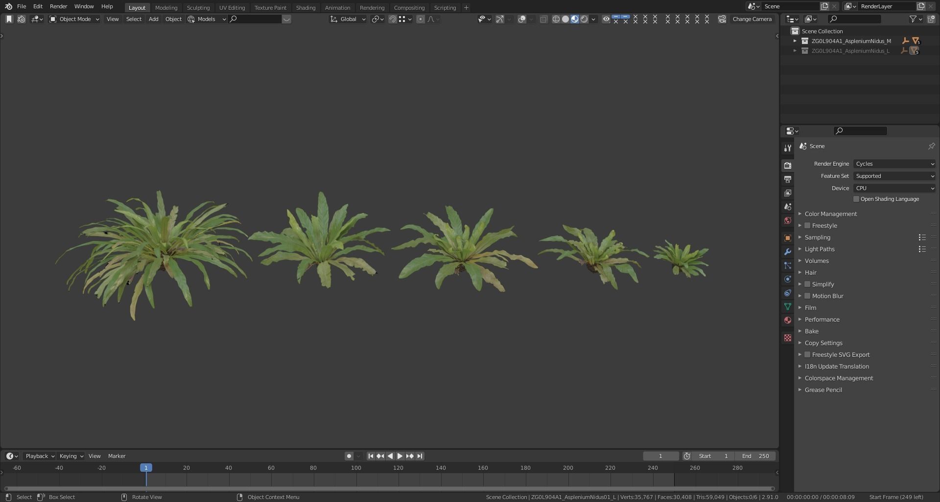 Birds Nest Fern Asplenium Nidus VFX Grace Low-poly 3D model_15