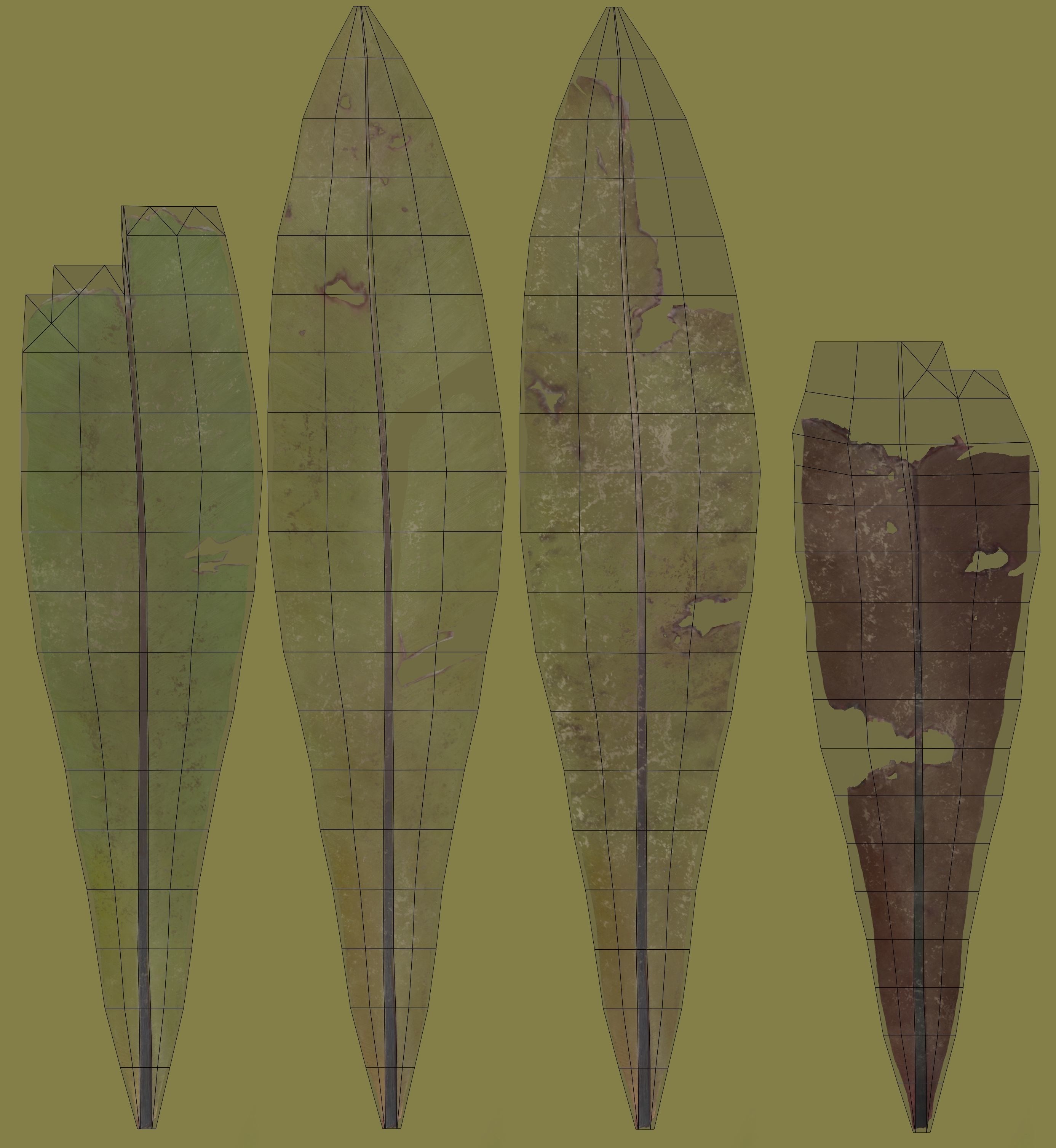 Birds Nest Fern Asplenium Nidus VFX Grace Low-poly 3D model_19