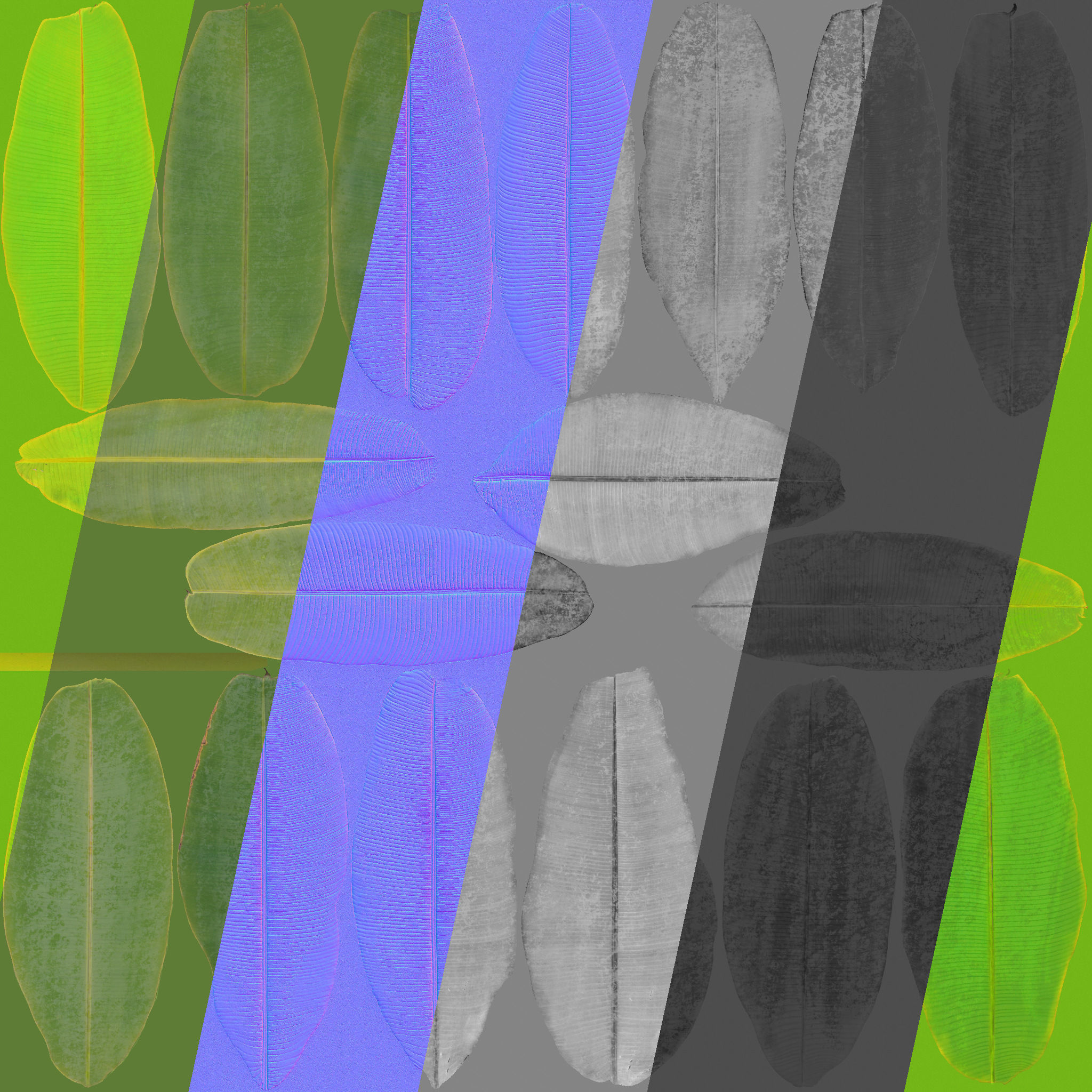 Musa basjoo VFX Grace Low-poly 3D model_15