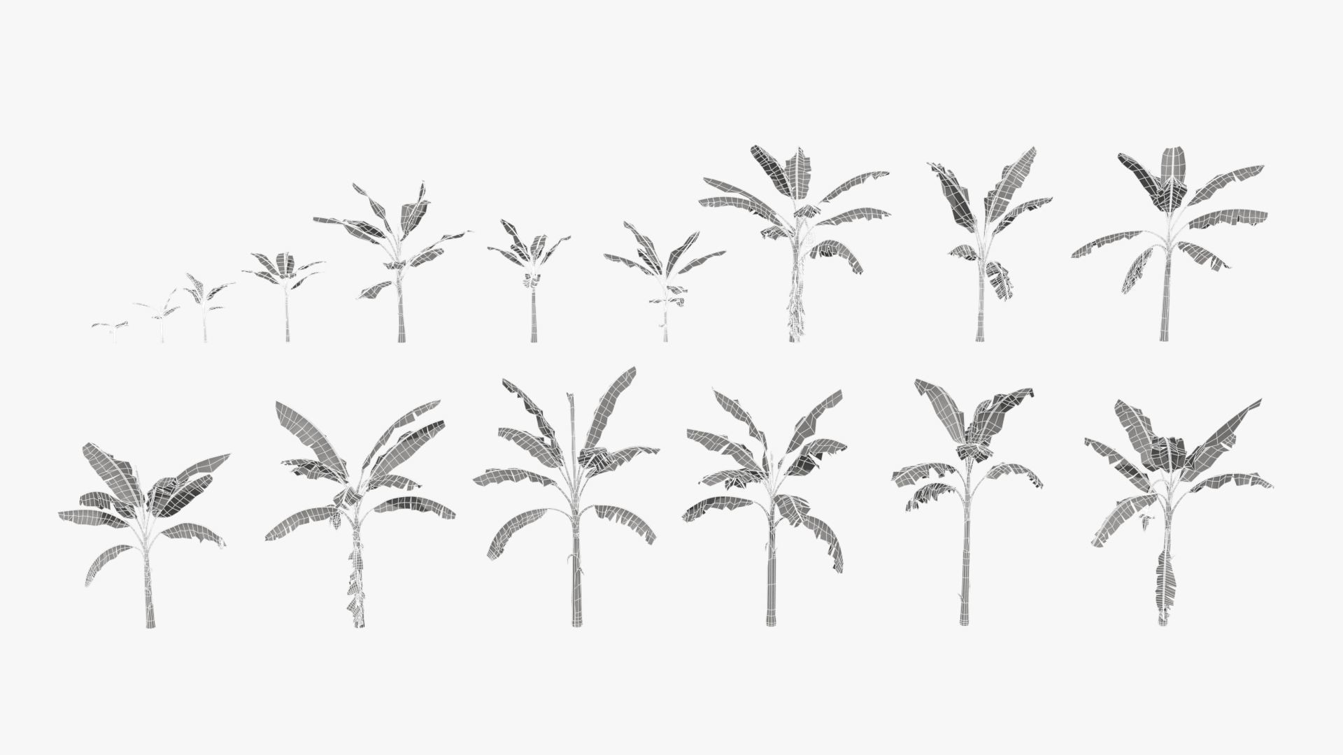 Musa basjoo VFX Grace Low-poly 3D model_6