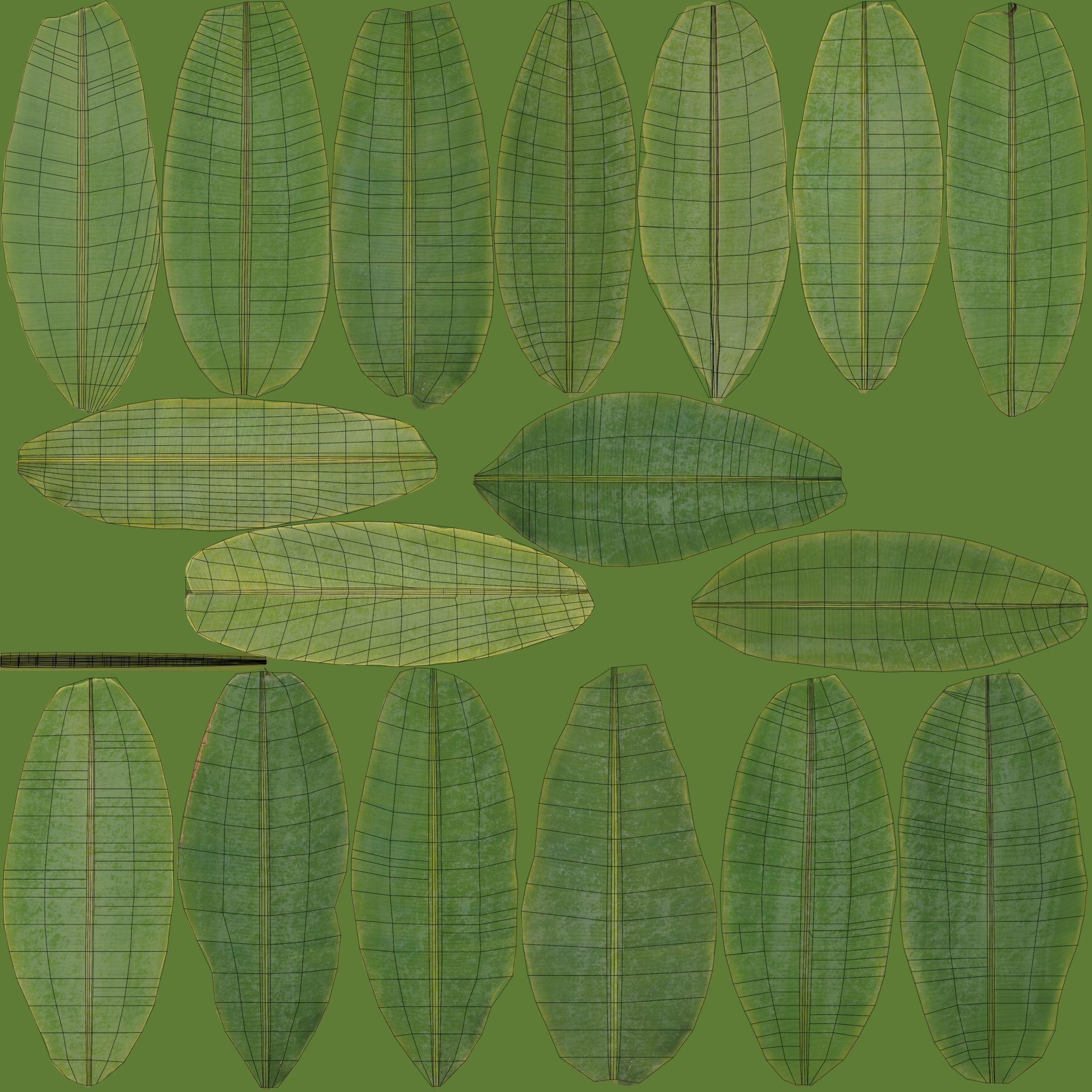 Musa basjoo VFX Grace Low-poly 3D model_14