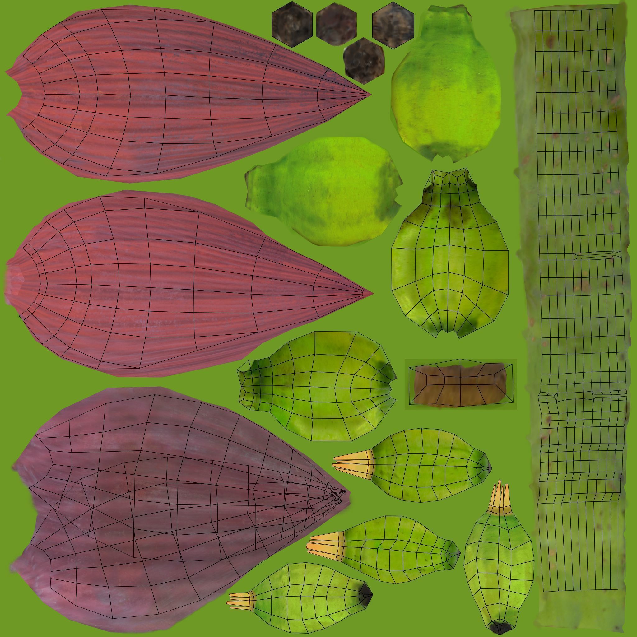 Musa basjoo VFX Grace Low-poly 3D model_20