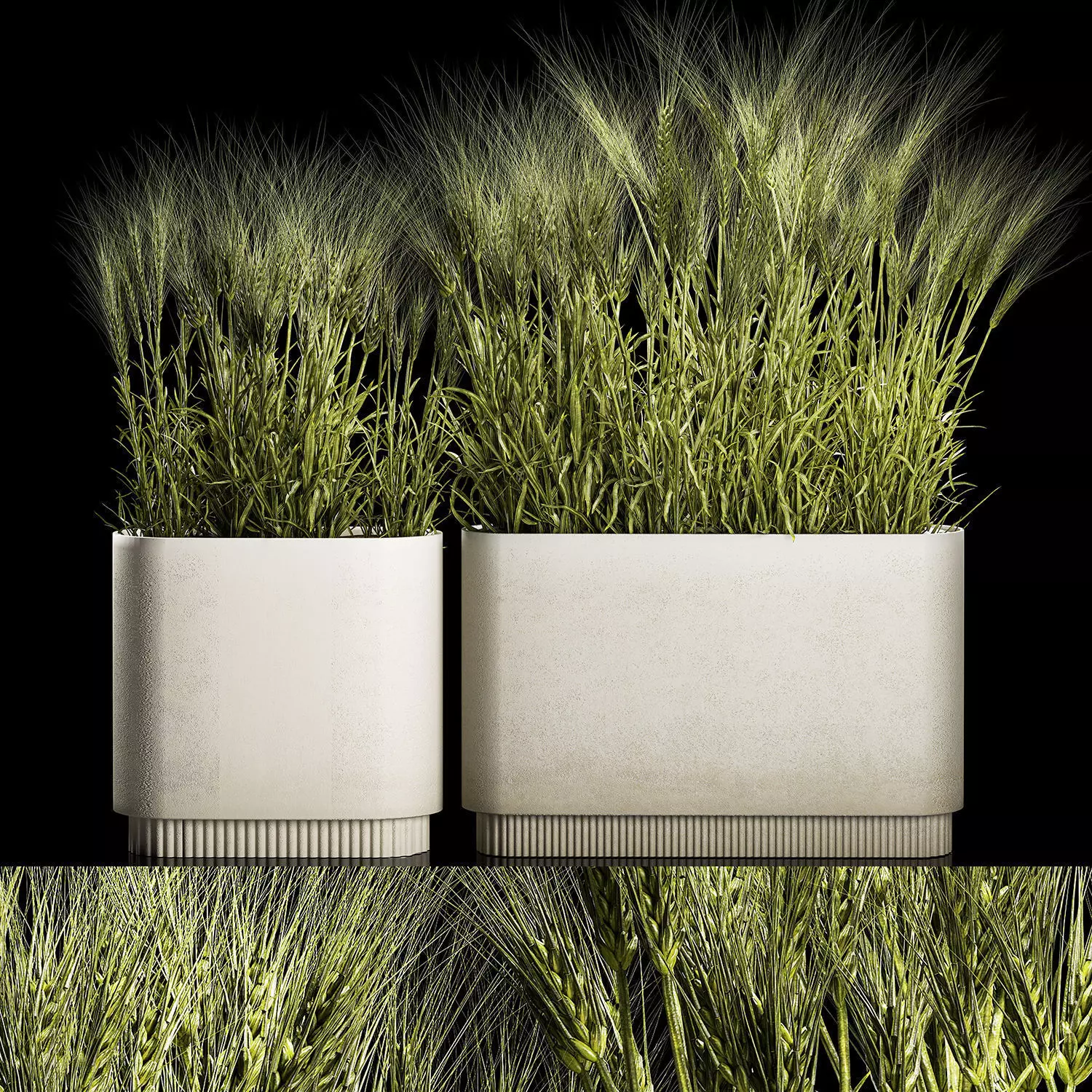 Set Of Green Ears Of Wheat In A Pot 1201 3D model