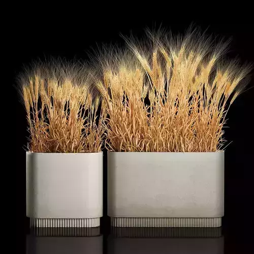 Set of dry ears of wheat in a pot 1202 3D model