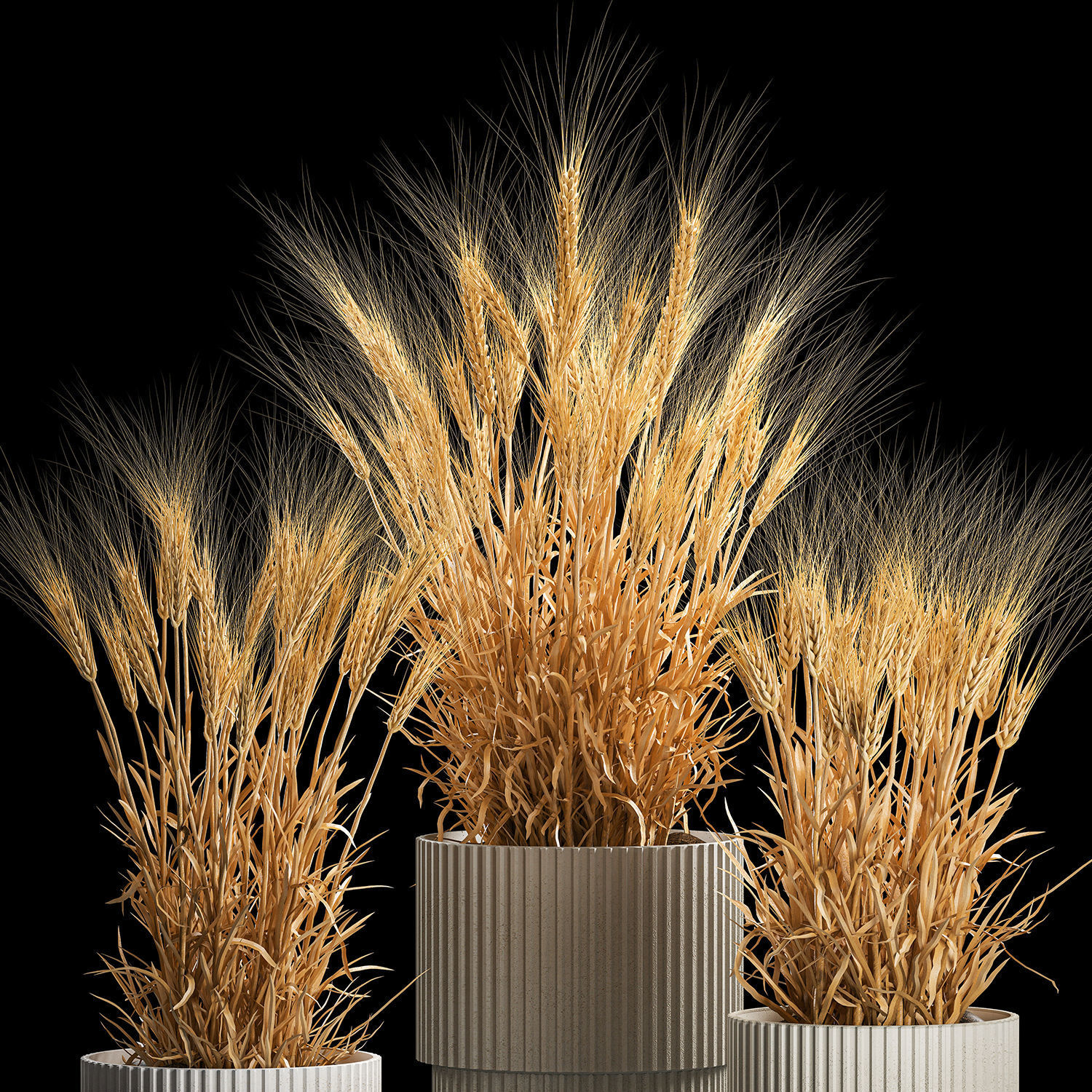 Set of dry ears of wheat in a pot 1203 3D model_2