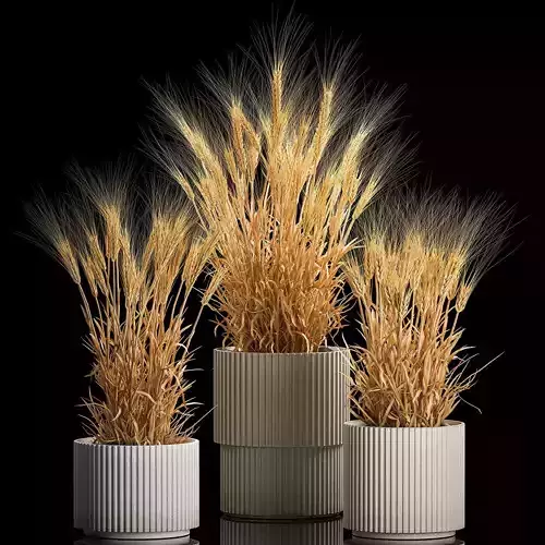 Set of dry ears of wheat in a pot 1203 3D model