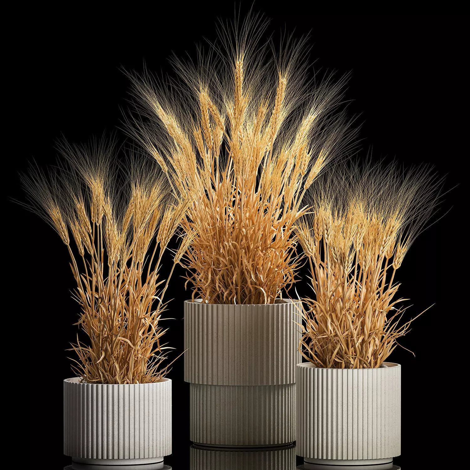 Set of dry ears of wheat in a pot 1203 3D model_0
