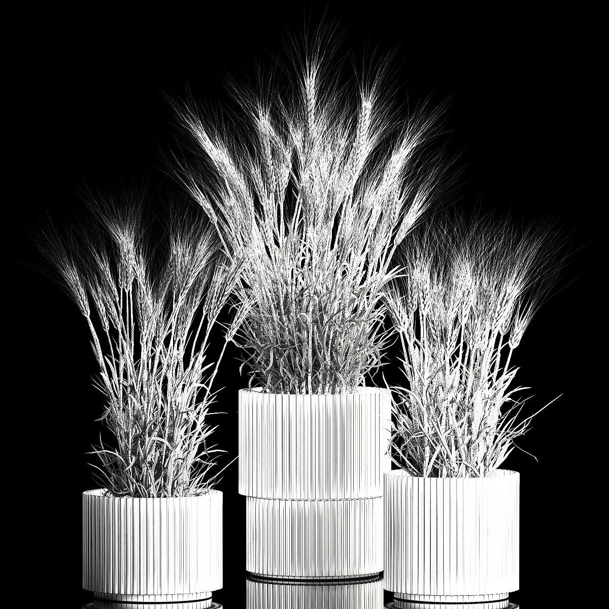Set of dry ears of wheat in a pot 1203 3D model_6