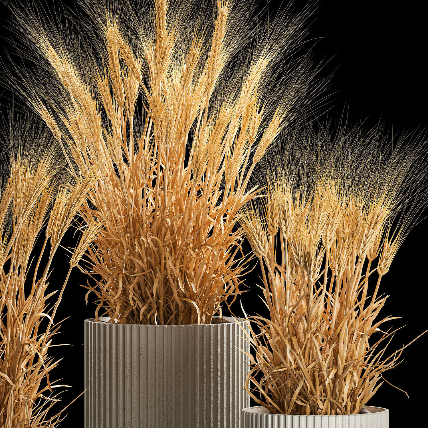 Set of dry ears of wheat in a pot 1203 3D model_4