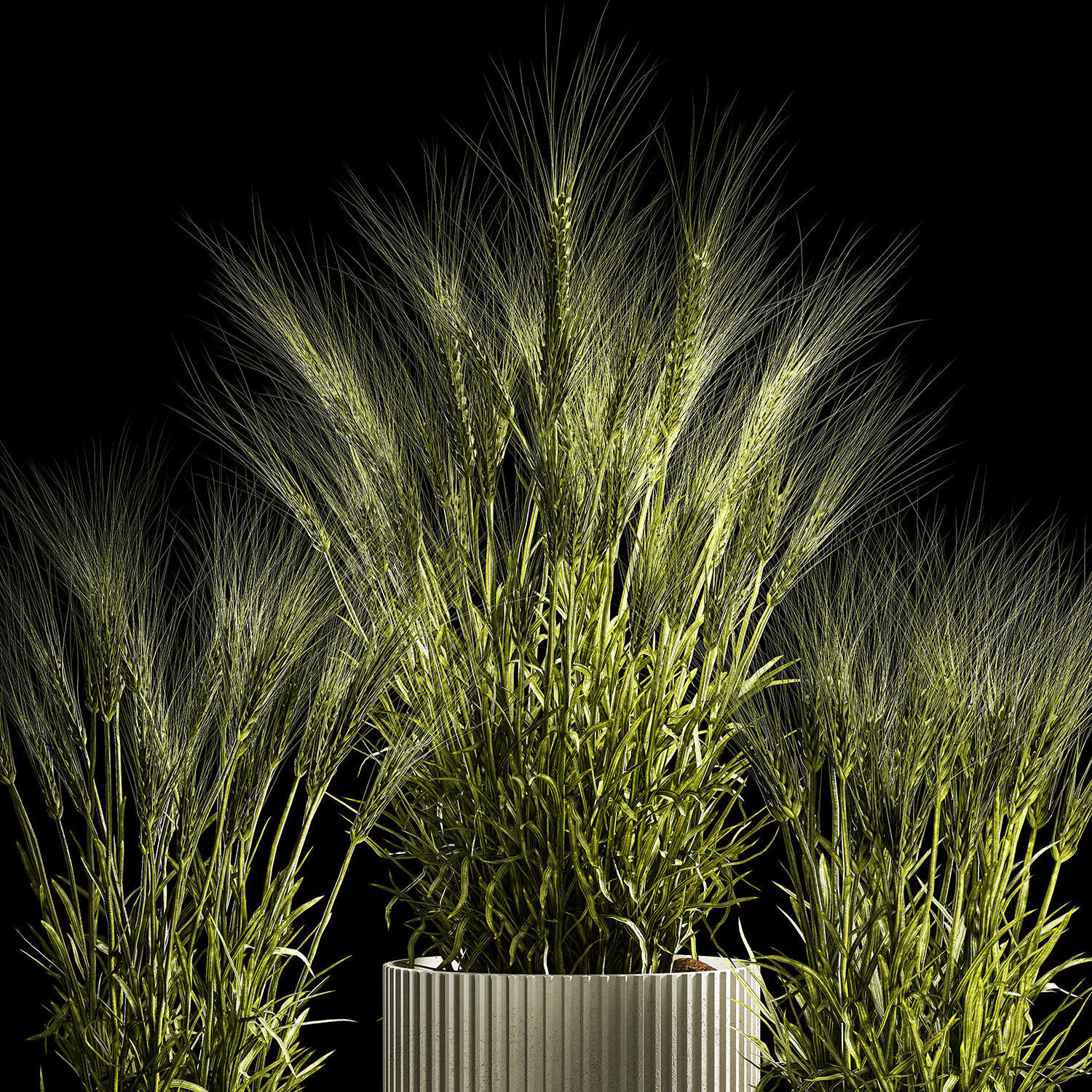 Set Of Green Ears Of Wheat In A Pot 1204 3D model_4