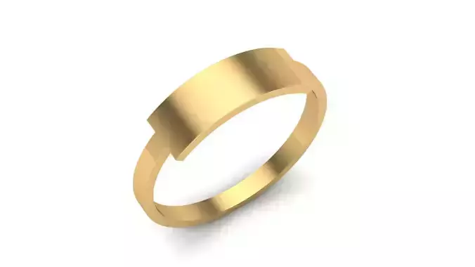 Anel com chapa  3D print model