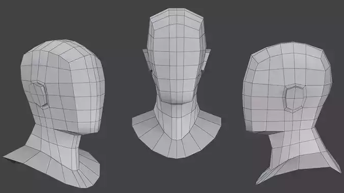 Head Base Mesh 3D model