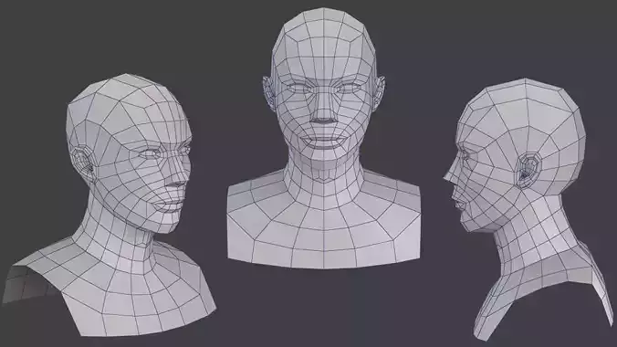 Head Base Mesh 3D model