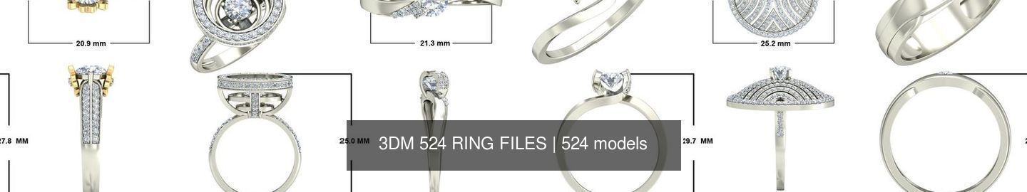 3DM 524 RING FILES 3D Model Collection_50